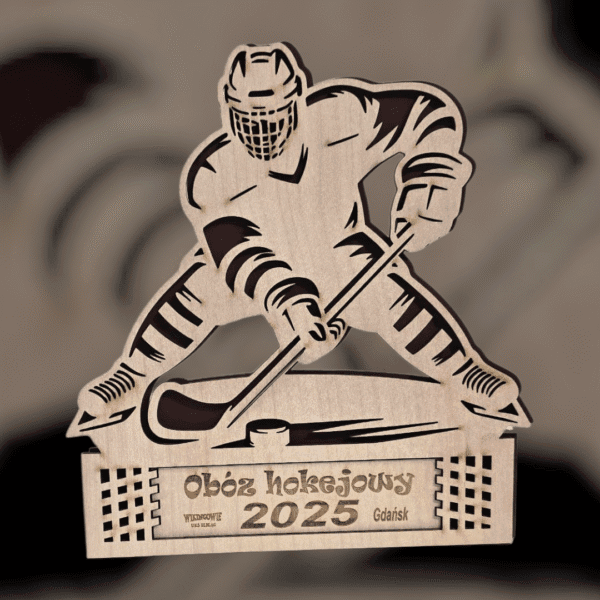 Puchar hokejowy - Gracz